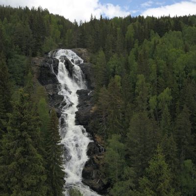 Foss